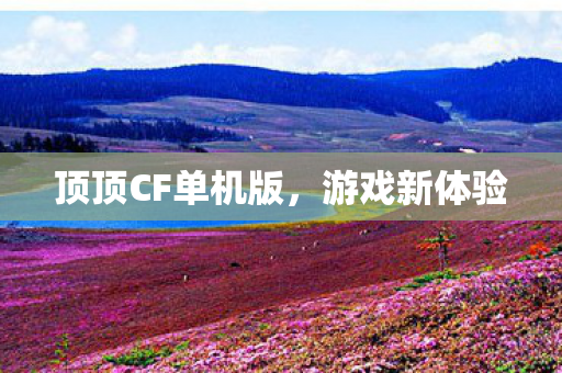 顶顶CF单机版图片