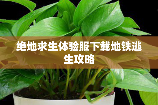 绝地求生体验服下载地铁逃生攻略图片
