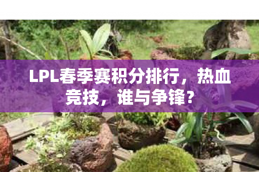 LPL春季赛积分排行图片