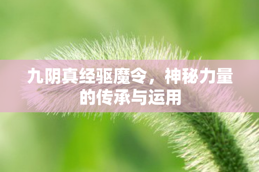神秘力量的传承与运用图片