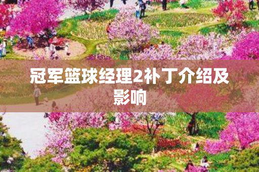 冠军篮球经理2补丁介绍及影响图片