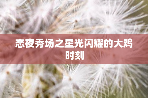 恋夜秀场之星光闪耀的大鸡时刻图片