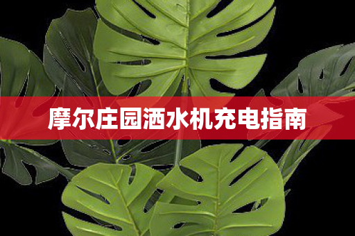 摩尔庄园洒水机充电指南图片