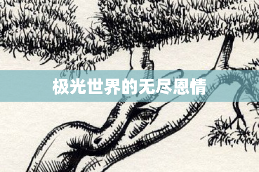 极光世界的无尽恩情图片