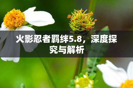 火影忍者羁绊5图片