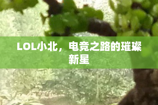 电竞之路的璀璨新星图片