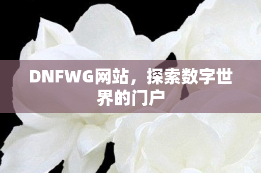 探索数字世界的门户图片