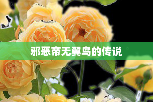 邪恶帝无翼鸟的传说图片