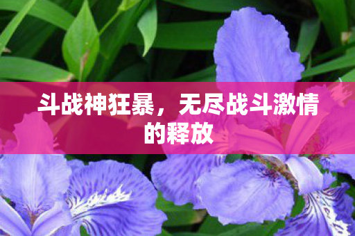 无尽战斗激情的释放图片