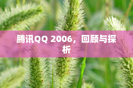 腾讯QQ 2006图片