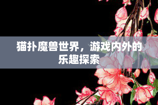 游戏内外的乐趣探索图片
