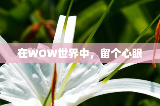 在WOW世界中图片