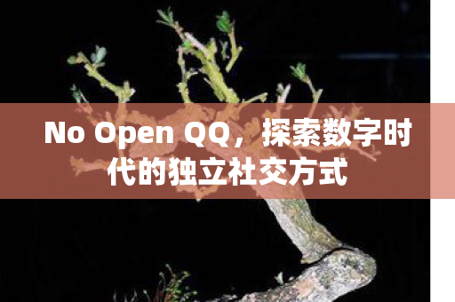 探索数字时代的独立社交方式图片