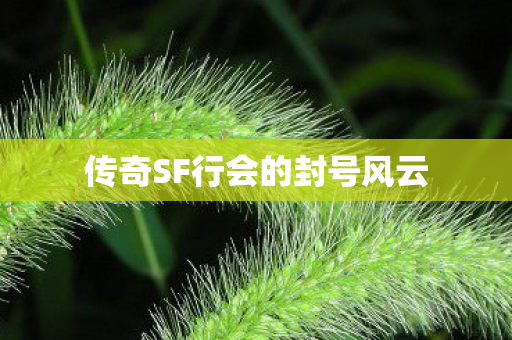 传奇SF行会的封号风云图片