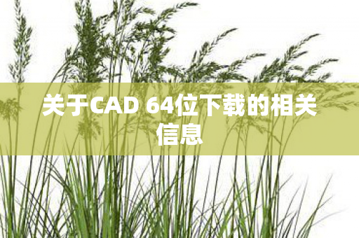 关于CAD 64位下载的相关信息图片