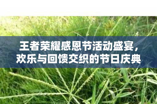 欢乐与回馈交织的节日庆典图片