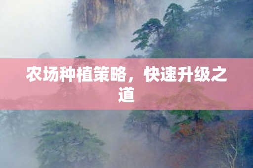 农场种植策略图片