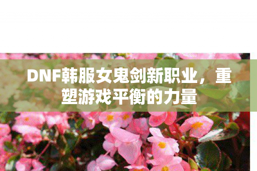 DNF韩服女鬼剑新职业图片