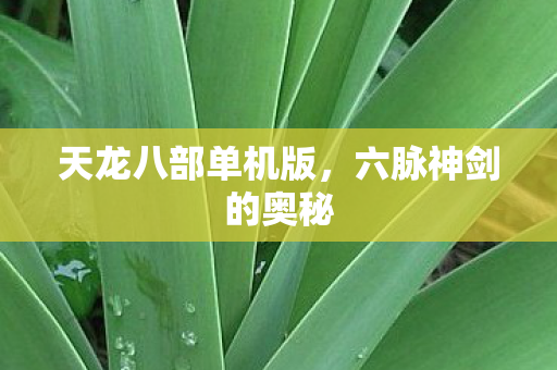 天龙八部单机版图片