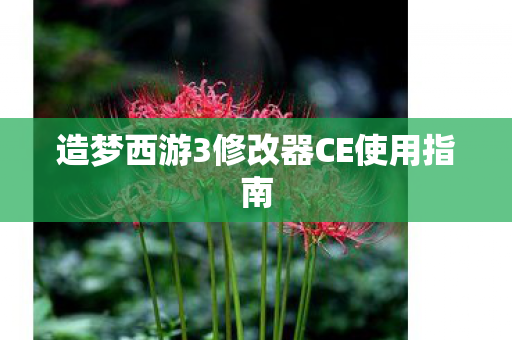 造梦西游3修改器CE使用指南图片