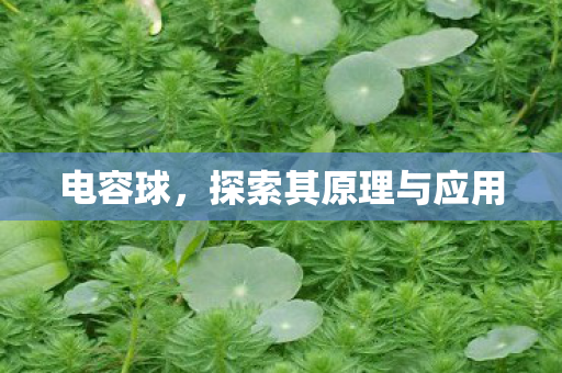 探索其原理与应用图片