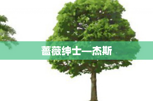 蔷薇绅士图片