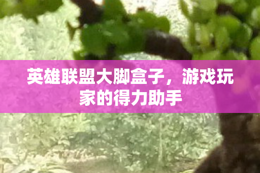 游戏玩家的得力助手图片