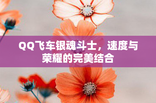 速度与荣耀的完美结合图片