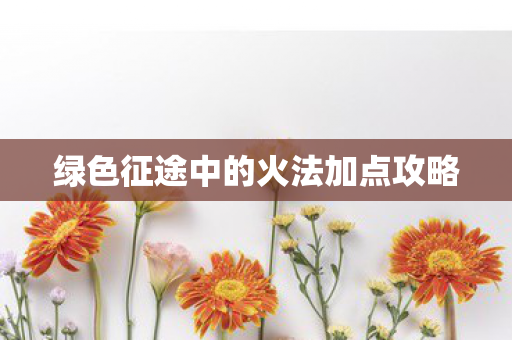 绿色征途中的火法加点攻略图片