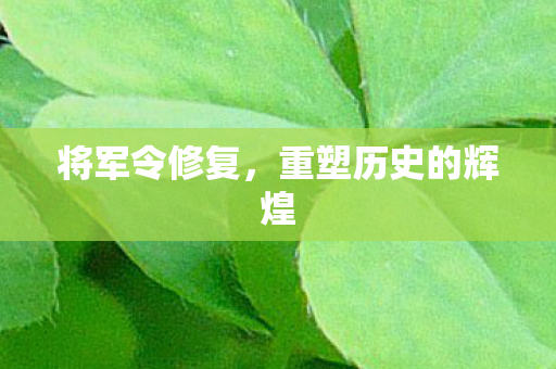 重塑历史的辉煌图片
