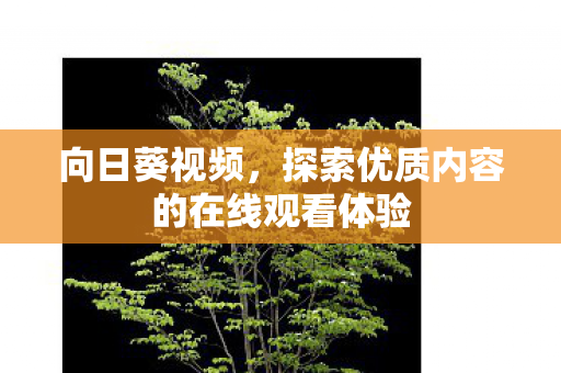 探索优质内容的在线观看体验图片