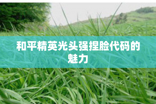 和平精英光头强捏脸代码的魅力图片