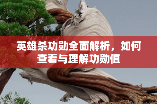 如何查看与理解功勋值图片