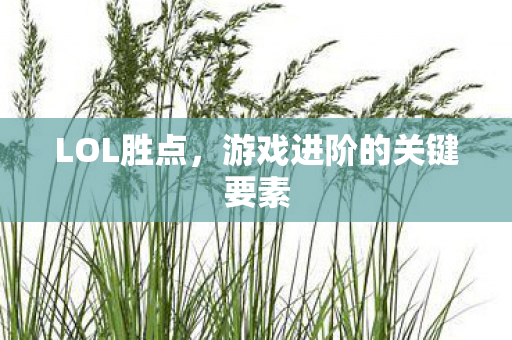 游戏进阶的关键要素图片