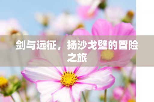 扬沙戈壁的冒险之旅图片