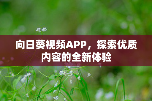 探索优质内容的全新体验图片