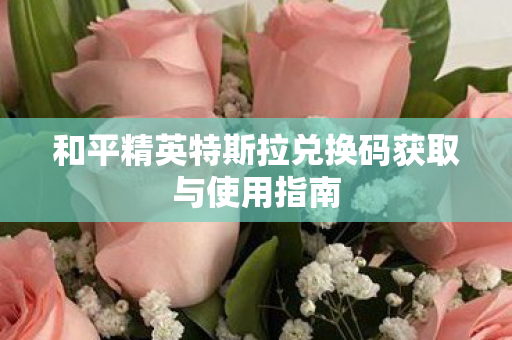 和平精英特斯拉兑换码获取与使用指南图片