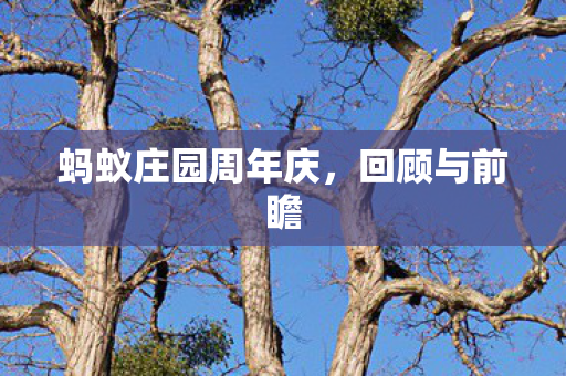 蚂蚁庄园周年庆图片