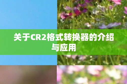 关于CR2格式转换器的介绍与应用图片