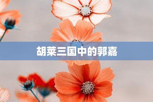 胡莱三国中的郭嘉图片
