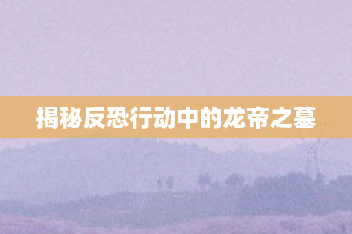 揭秘反恐行动中的龙帝之墓图片