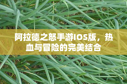 阿拉德之怒手游IOS版图片