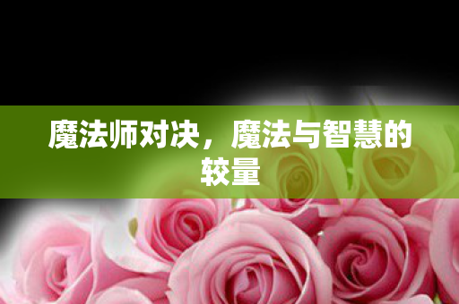 魔法与智慧的较量图片