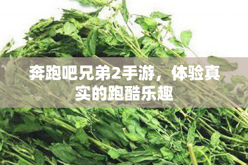 体验真实的跑酷乐趣图片