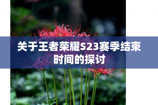 关于王者荣耀S23赛季结束时间的探讨图片