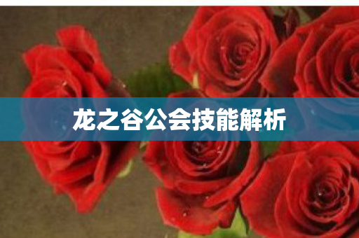 龙之谷公会技能解析图片