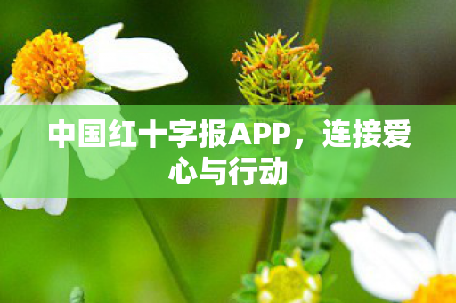 中国红十字报APP图片