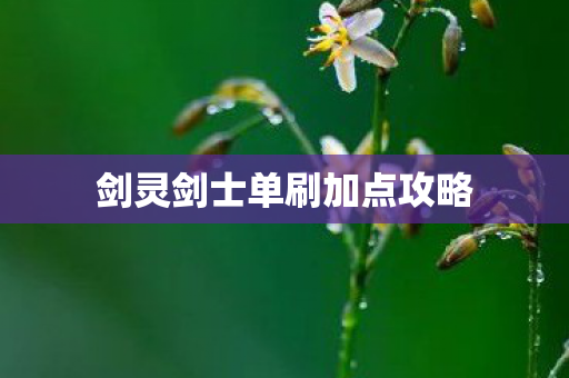 剑灵剑士单刷加点攻略图片