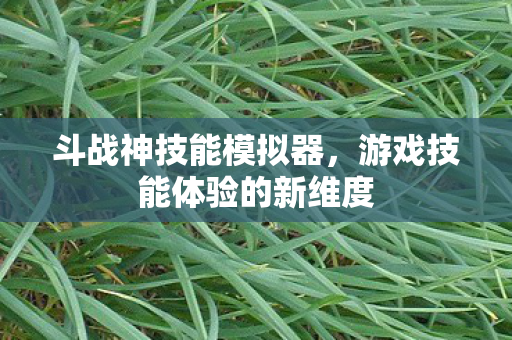 游戏技能体验的新维度图片