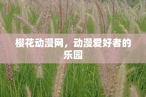 动漫爱好者的乐园图片